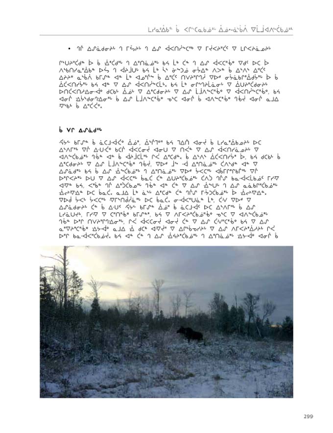 2012 CNC AReport_4L_C_LR_v2 - page 299